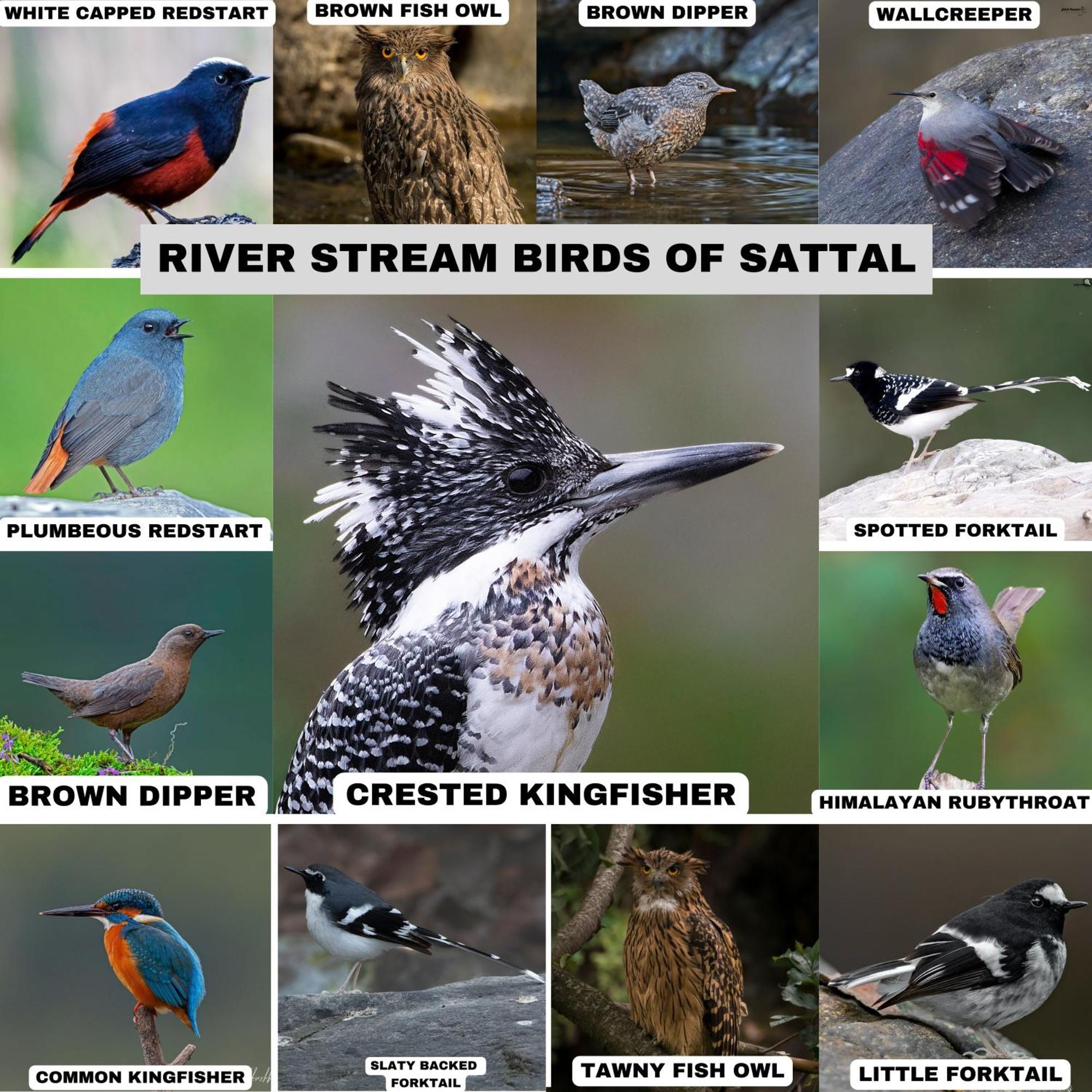Apartament Incredible Birding Camp Bhīm Tāl Zewnętrze zdjęcie