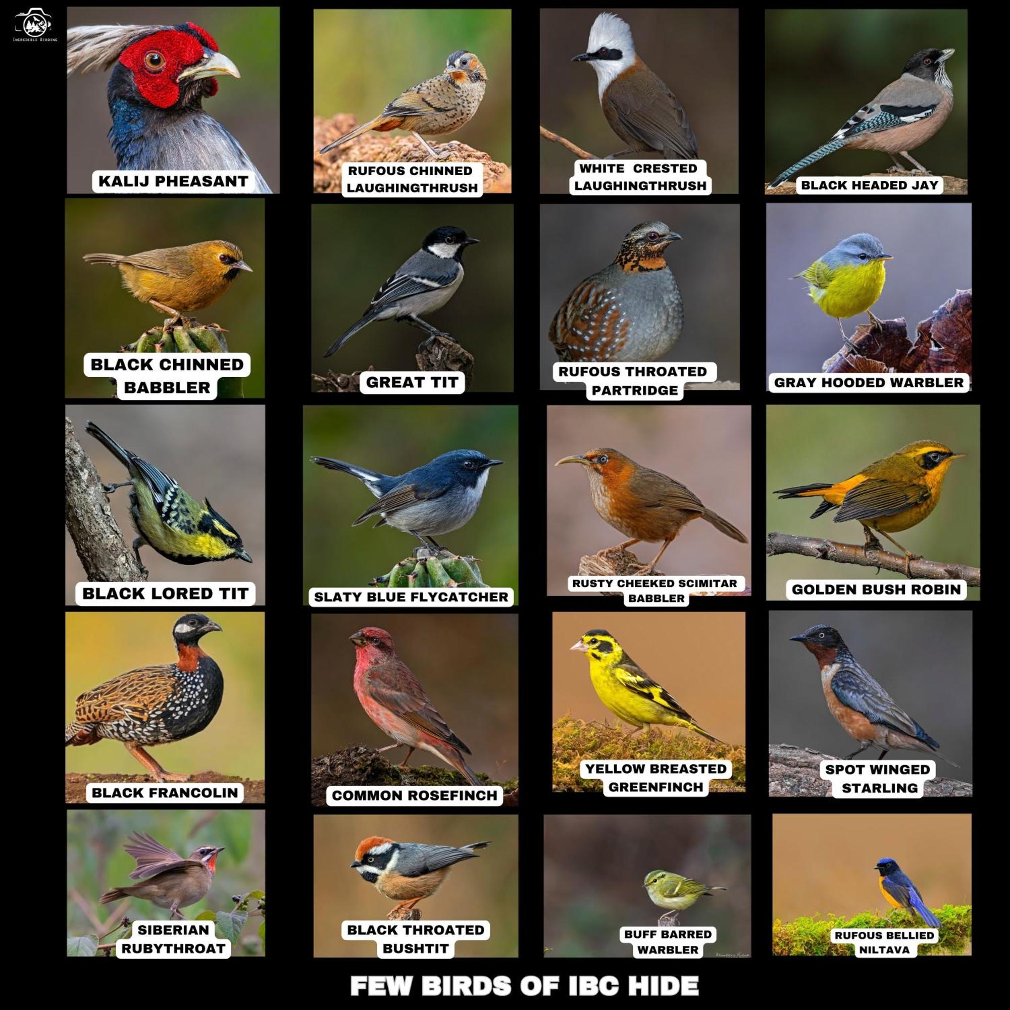 Apartament Incredible Birding Camp Bhīm Tāl Zewnętrze zdjęcie